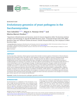 Evolutionary genomics of yeast pathogens in the - e
