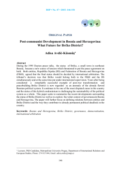 Post-communist Development in Bosnia and Herzegovina: What