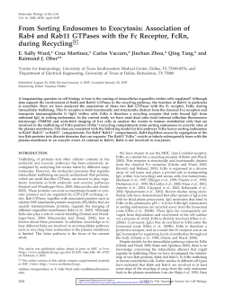 From Sorting Endosomes to Exocytosis: Association of Rab4 and