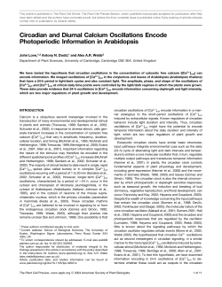 Circadian and Diurnal Calcium Oscillations Encode