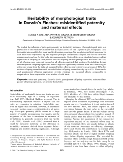 Heritability of morphological traits in Darwin`s Finches