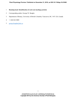 Identification and characterization of seed coat