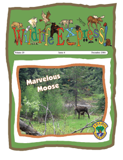 Marvelous Moose - Idaho Fish and Game