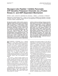Glucagon-Like Peptide-1 Inhibits Pancreatic ATP