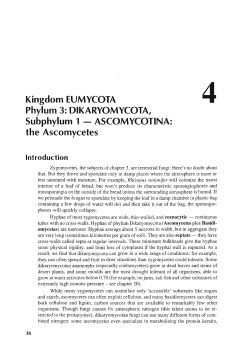Kingdom EUMYCOTA Phylum 3: DIKARYOMYCOTA, Subphylum 1