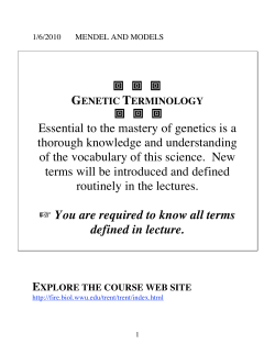 Model Organism