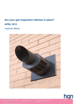 Gas Inspection Hatches and Flues