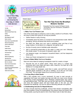 April 2017 - Senior Sentinel