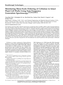Monitoring Meso-Scale Ordering of Cellulose in