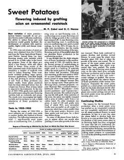 Sweet Potatoes - UC Cooperative Extension