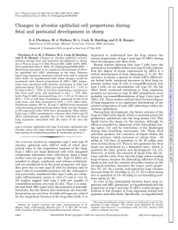Changes in alveolar epithelial cell proportions during - AJP-Lung