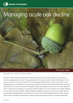 Managing acute oak decline
