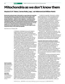 Mitochondria as we don`t know them