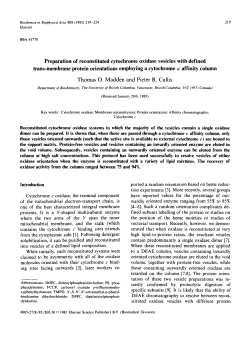 Preparation of reconstituted cytochrome oxidase vesicles with