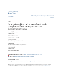 Preservation of three-dimensional anatomy in