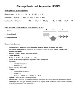 Photosynthesis and Respiration NOTES