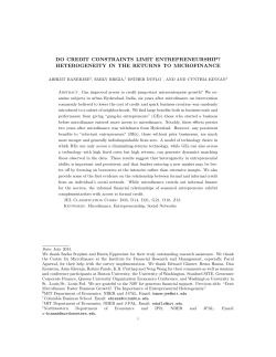 Heterogeneity and entrepreneurship