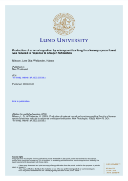 Production of external mycelium by ectomycorrhizal fungi in a