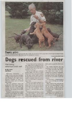 Dogs rescued from river