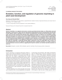 Evolution, function, and regulation of genomic imprinting in plant