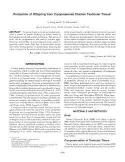 Production of Offspring from Cryopreserved Chicken Testicular Tissue