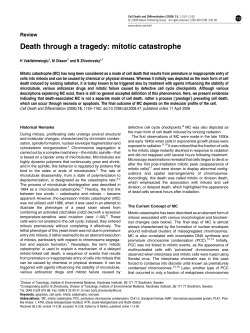 Death through a tragedy: mitotic catastrophe