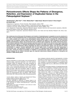Pericentromeric Effects Shape the Patterns of