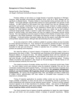 Management of Cherry Powdery Mildew - Canr.msu.edu