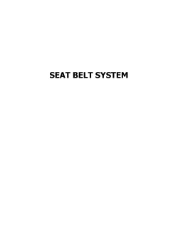 SEAT BELT SYSTEM