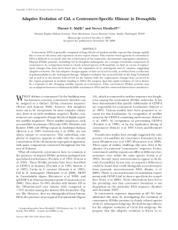 Adaptive Evolution of Cid, a Centromere-Specific Histone