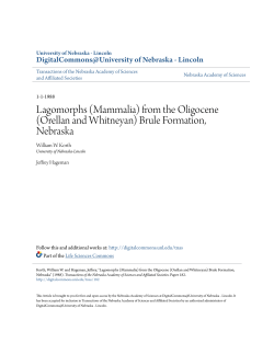 Lagomorphs (Mammalia) from the Oligocene (Orellan and Whitneyan)