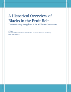 A Historical Overview of Blacks in the Fruit Belt