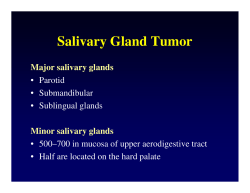 Salivary Gland Tumor