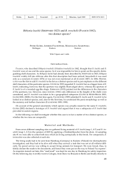 Bithynia leachii (SHEPPARD 1823) and B. troschelii (PAASCH 1842