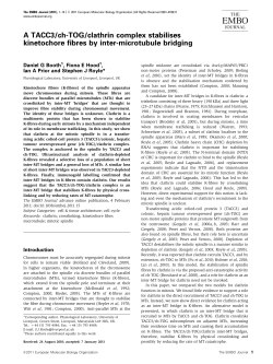A TACC3/ch-TOG/clathrin complex stabilises kinetochore fibres by