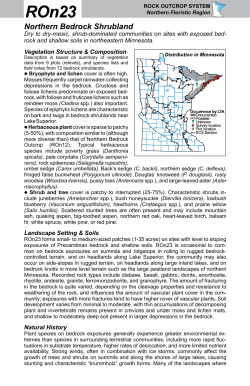 ROn23 Northern Bedrock Shrubland factsheet