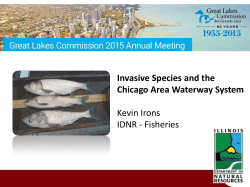 Irons - Great Lakes Commission