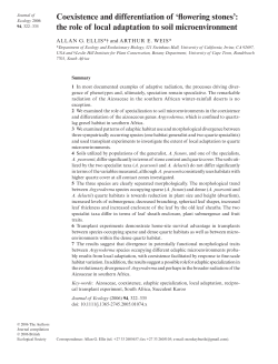 Coexistence and differentiation of `flowering stones