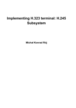Implementing H.323 terminal: H.245 Subsystem