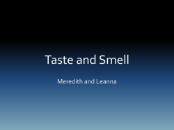 Smell and Taste - Gulfport School District
