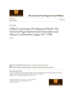 A Black Community Development Model: The Universal Negro
