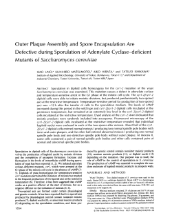 Outer Plaque Assembly and Spore Encapsulation