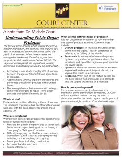 Understanding Pelvic Organ Prolapse