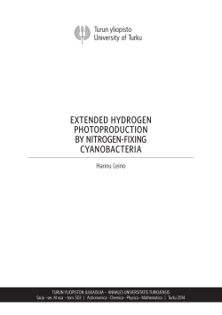 extended hydrogen photoproduc-tion by nitrogen-fixing