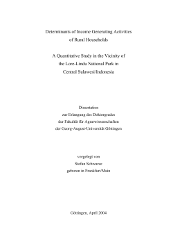 as a PDF