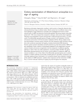 Colony sectorization of Metarhizium anisopliae is a sign of ageing