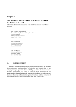 Chapter 6 MICROBIAL PROCESSES FORMING MARINE