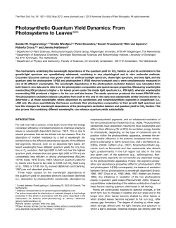 Photosynthetic Quantum Yield Dynamics: From Photosystems to