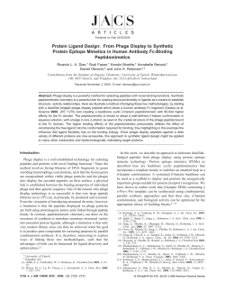 Protein Ligand Design: From Phage Display to Synthetic Protein