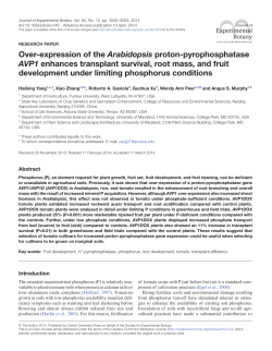 Over-expression of the Arabidopsis proton